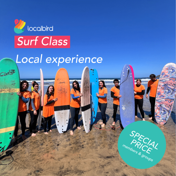Surfing Classes Learn How to Surf - 2hours