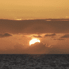 localbird-north-trip-sunset