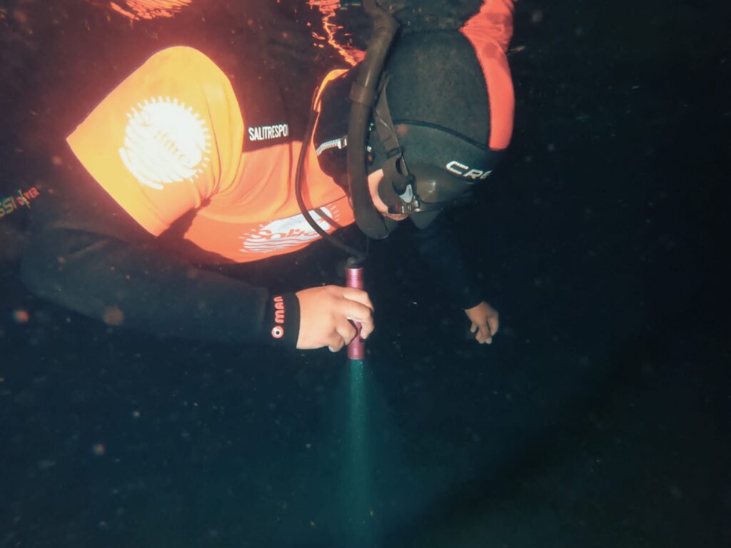 night-snorkeling