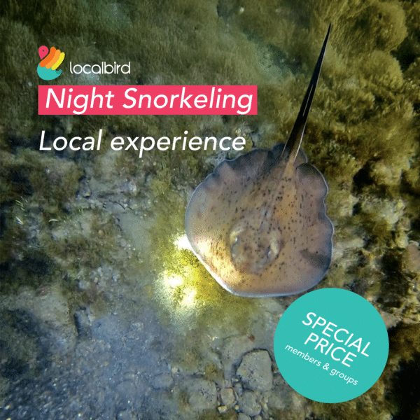 Night snorkeling In Las Palmas