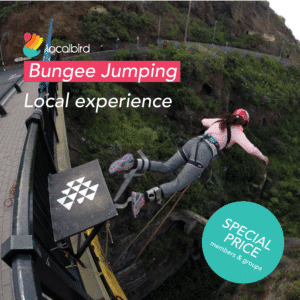 Bungee jumping experience
