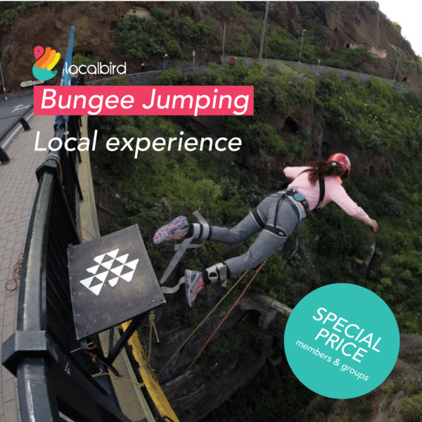 Bungee jumping experience
