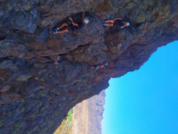 People climbing a rock wall.