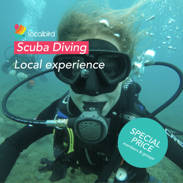 Scuba Diving experience