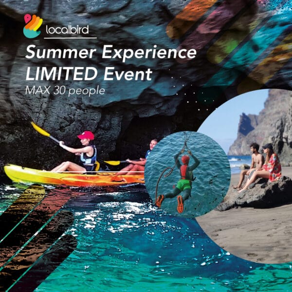 summer-experience-localbird