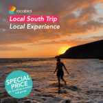 Local Trip To The South - Gran Canaria