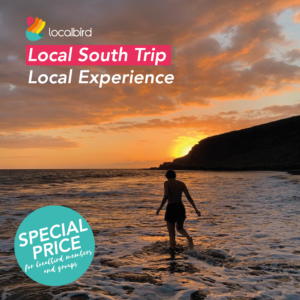 Local Trip To The South - 25/01/2026