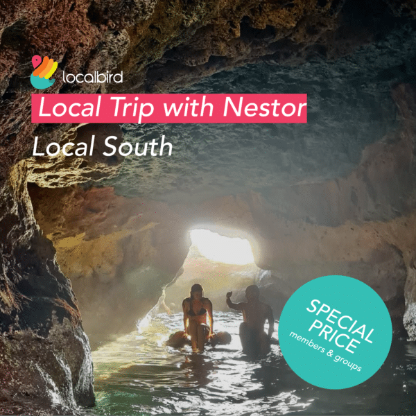 Local Trip with Nestor: local places in the south