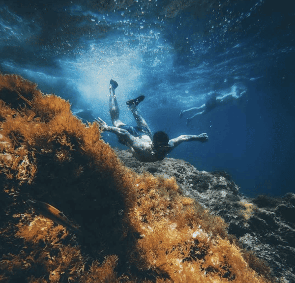 Guayedra-snorkel-trip