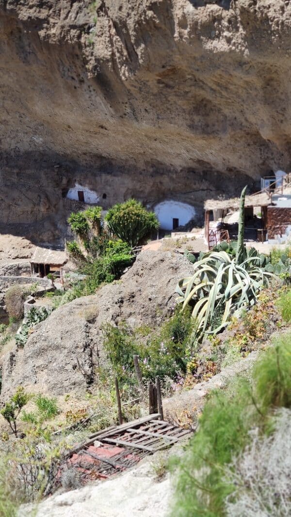 aboriginal-local-trip-localbird-caves