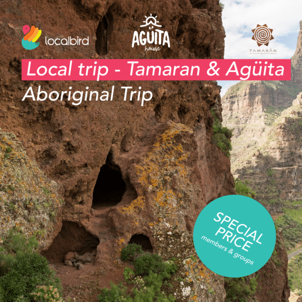 aboriginal-trip-cover