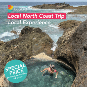 Local Trip to the North coast - Gran Canaria