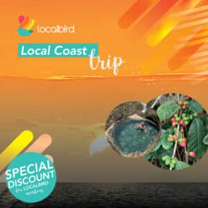 Local-coast-trip