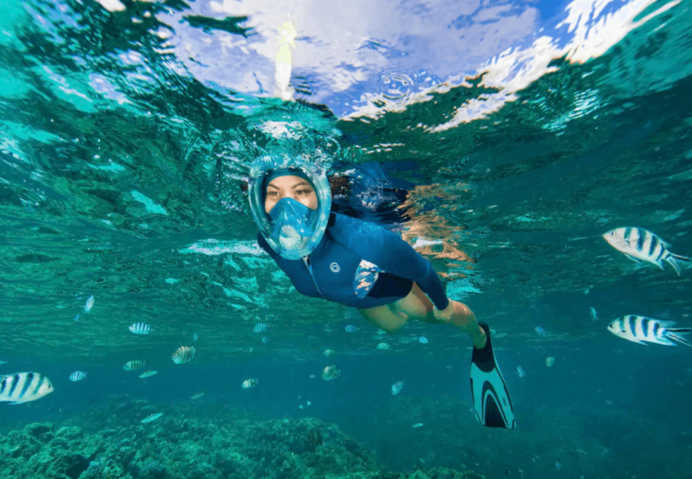 Rent a Snorkel Mask