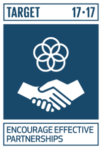SDG17.17