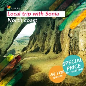 local-trip-with-sonia-north-coast