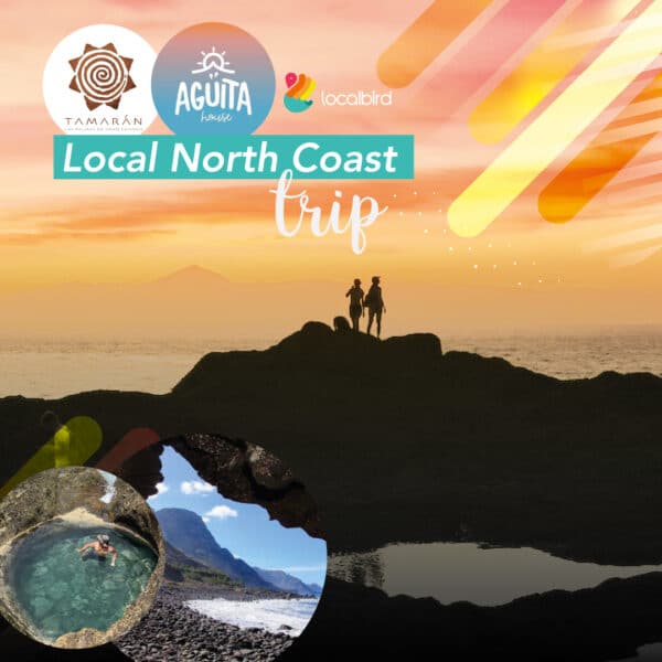 TA-local-north-coast