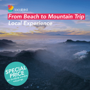 Local trip From Beach to Mountain - Gran Canaria