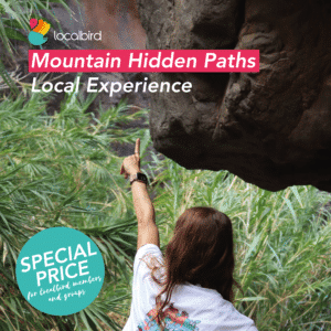 Local Trip to mountain hidden paths - Gran Canaria