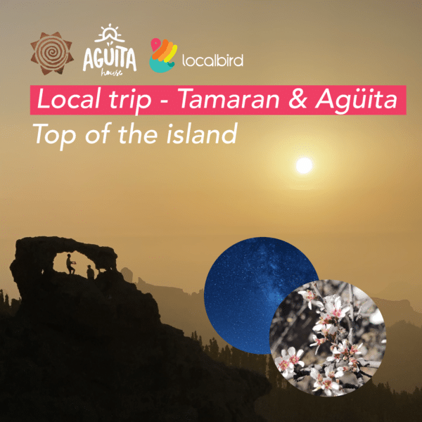 Tamaran & Agüita Local trip: Top of the island