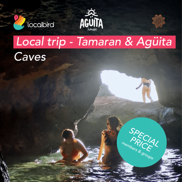 caves-trip-cover