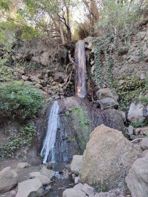 hidden-mountain-path-local-trip-localbird