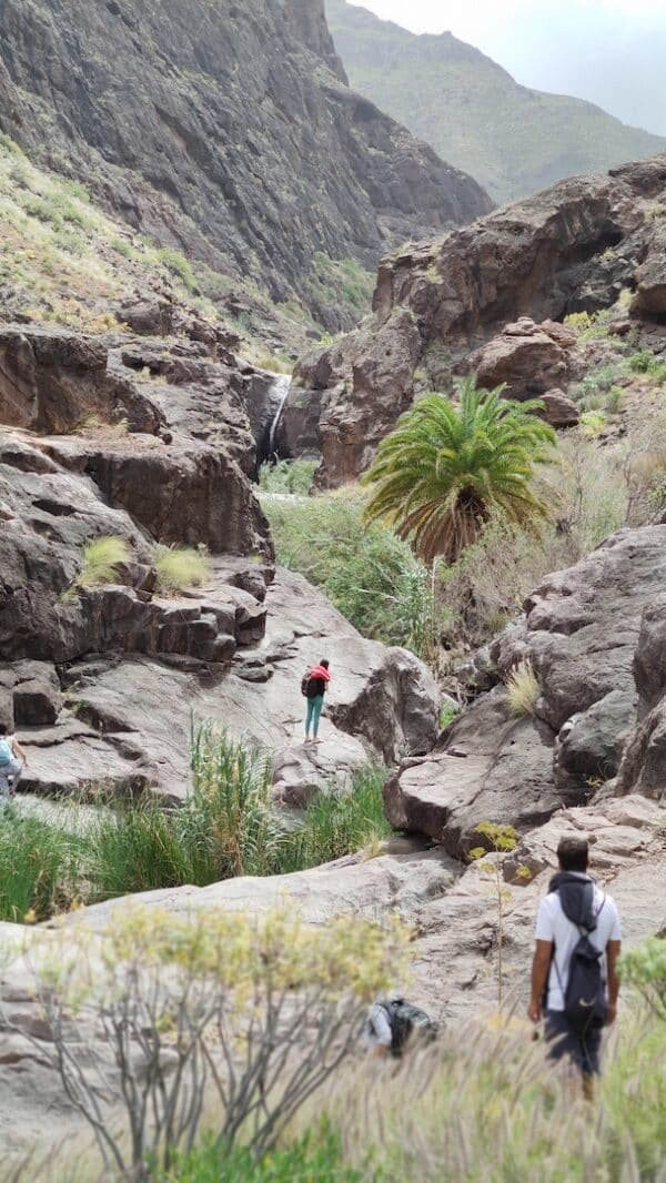hidden-mountain-path-local-trip-localbird-canyon