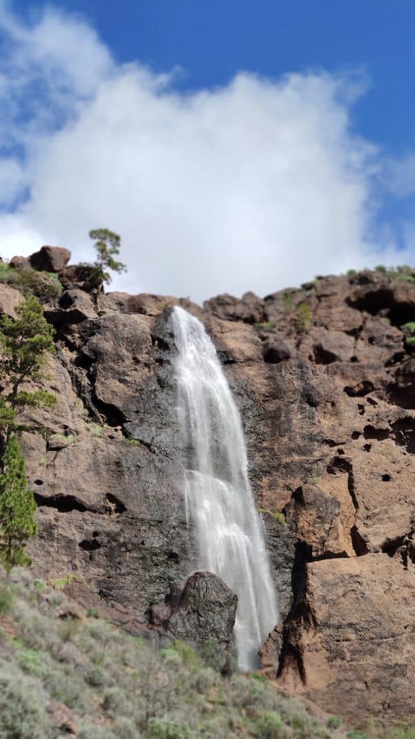 hidden-mountain-path-local-trip-localbird-cascades