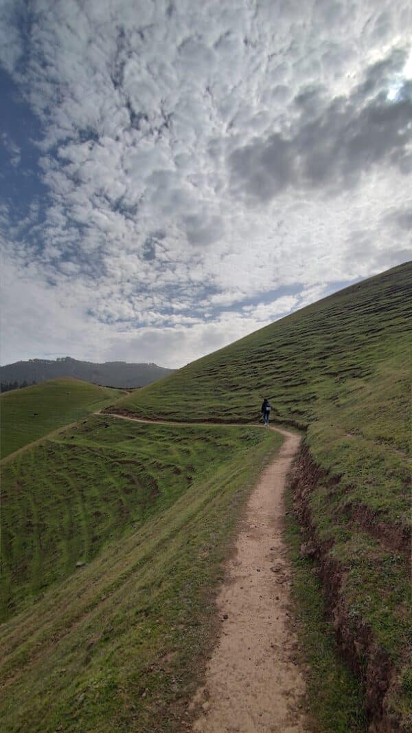 hidden-mountain-path-local-trip-localbird-green