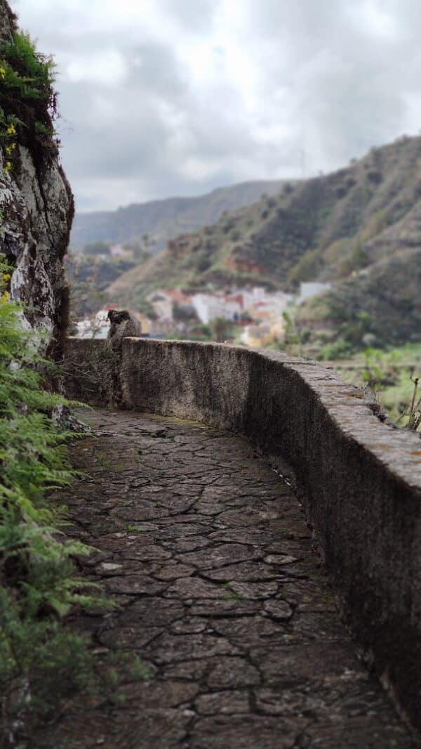 hidden-mountain-path-local-trip-localbird-green-garden