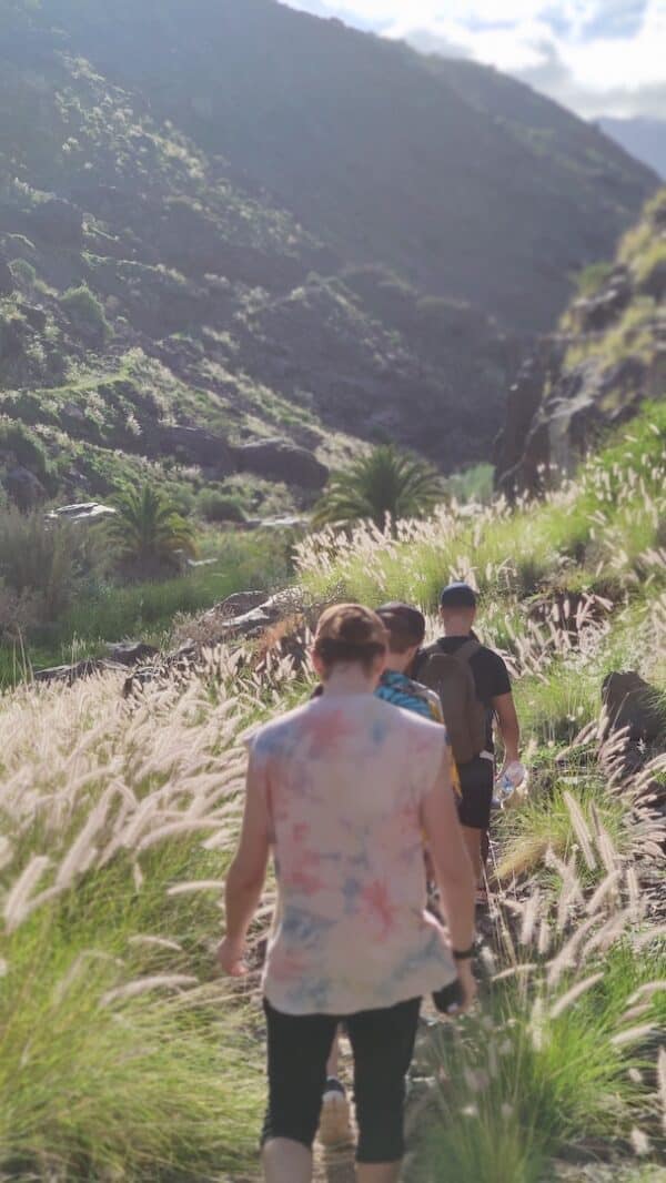 hidden-mountain-path-local-trip-localbird-hike