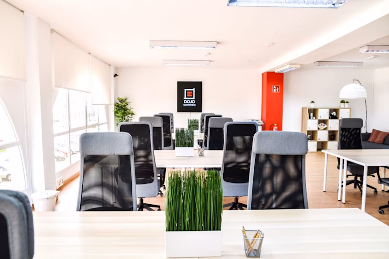 A modern office space with black and red chairs, a desk, and a vibrant green plant adding a touch of nature.
