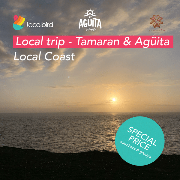 local-coast-trip-cover