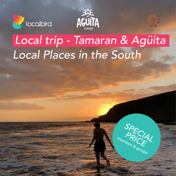 local-south-trip-cover