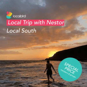 local-trip-nestor-cover