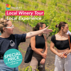 Local Winery Tour with guide - Gran Canaria