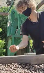 photo-coffee-localbird