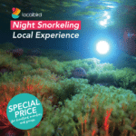Night snorkeling In Las Palmas - Gran Canaria
