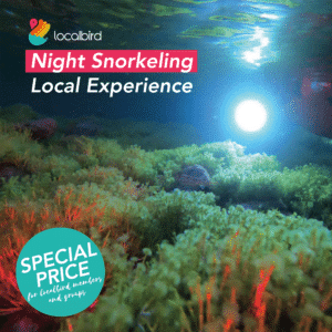 Night snorkeling In Las Palmas - Gran Canaria