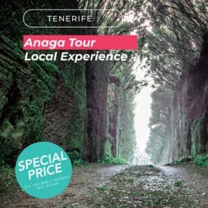 Santa Cruz, La Laguna & Anaga Excursion