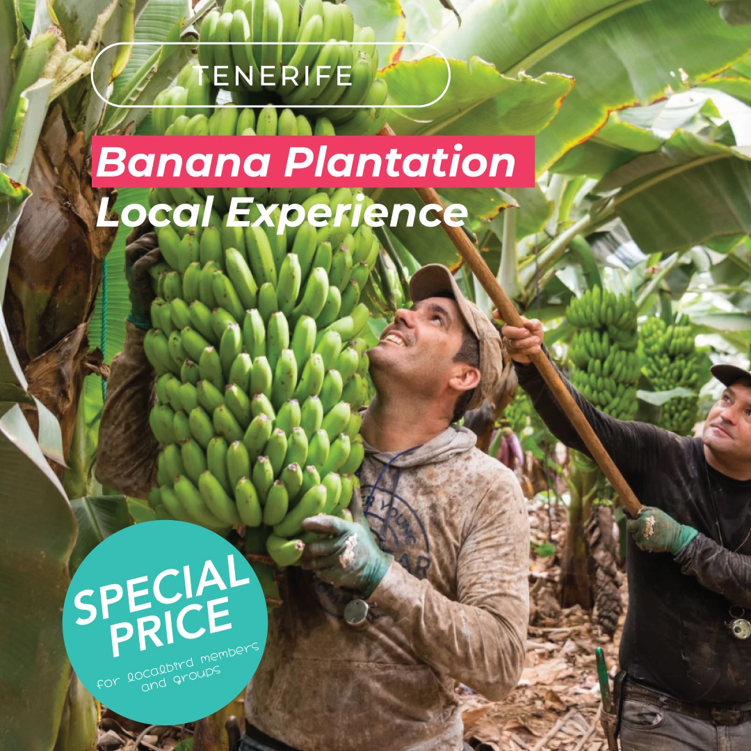 Banana Plantation Guided Tour