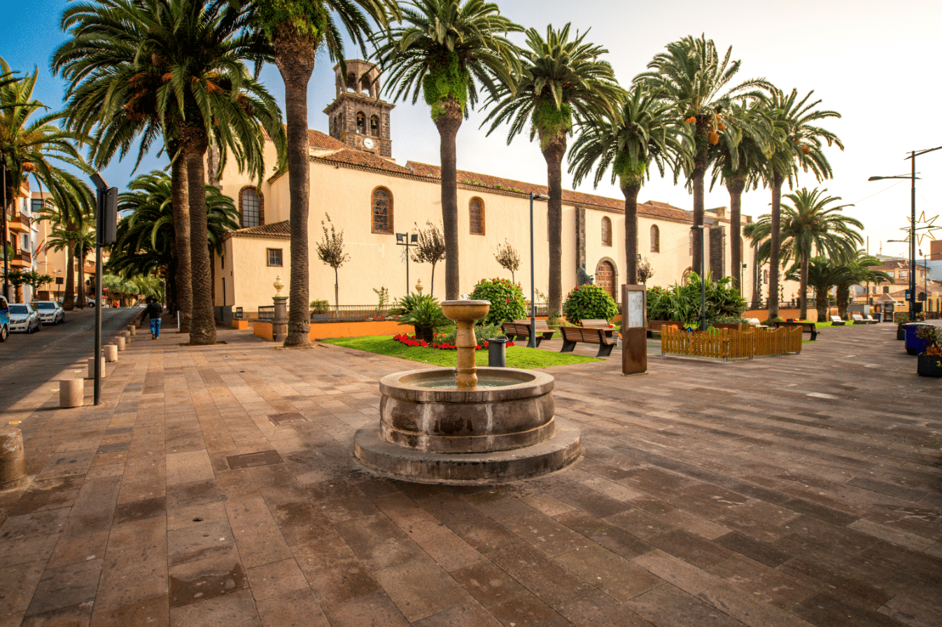 Santa Cruz, La Laguna & Anaga Excursion - Image 3