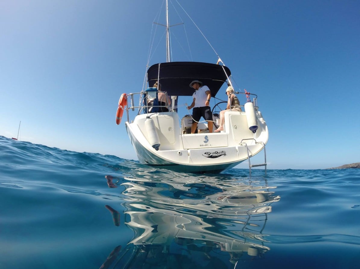 Premium Sailboat Whale Watching Experience - Image 2