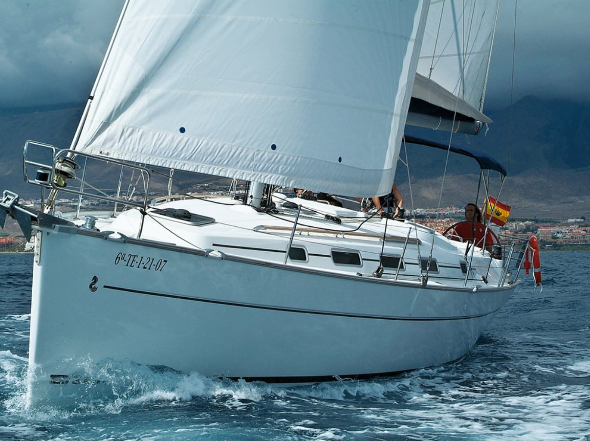 Premium Sailboat Whale Watching Experience - Image 3