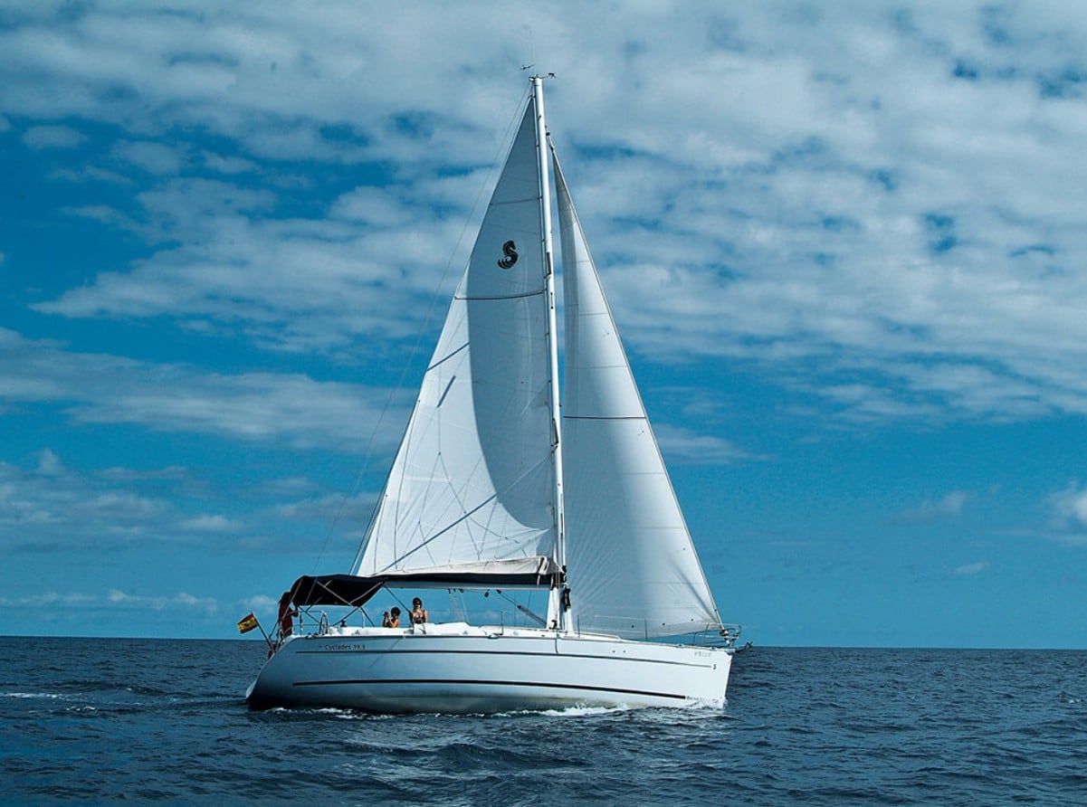 Premium Sailboat Whale Watching Experience - Image 4